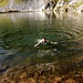 Ne approfittano per un bel tuffo nelle fresche acque del Lai Blau