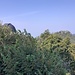 Panorama verso la Punta di Mezzo 1227 mt