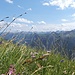 Grüne Lechtaler Alpen, östwarts...