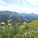 ...und westwarts,die grüne Lechtaler Alpen.