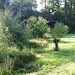 Naturschutzgebie Bachtele