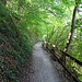 Wanderweg nach Rheinfelden
