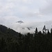 Auf die andere Talseite, nur Spitzkofel(2346m) überragt die Wolken.