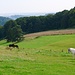 Bei Neuenheerse *
