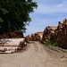 Das war der Wald *