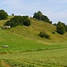Bei Neuenheerse *
