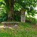 Unter der alten Linde *