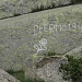 incisione su una pietra: si nota l'elmo e la penna d'alpino a ricordo di un milite
