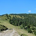 Abstiegsweg von der Alpspitz zum Bärgallasattel