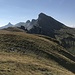 Erdisgulmen