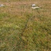 Wanderweg?