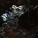 A l'intérieur d'une des galeries de la mine Chalte Berg.