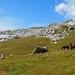 Abstieg zur Bergstation Madrisa
