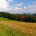 Beim Oelkesberg *