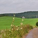 Am Itter *