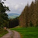 Abstieg nach Deisfeld *