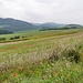 Blick ins Rhenetal *