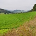 Südlich vom Rottenberg