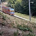 Treno Monte Generoso - Capolago nei pressi di Bellavista. 