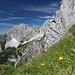 wieder im Abstieg