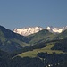 Zillertaler Größen