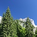 Start bei der Wochenbrunner Alm