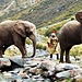 Uomini ed elefanti, trekking (218 a.c.)<br />Per gli elefanti un bel T5 direi