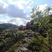 ...zum Loechlefelsen hinauf. Hier hat man von einigen kleinen Felsgraten aus eine schöne Aussicht über das Tal von Ferrette.