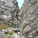 Very wild canale orsalia
