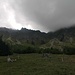 la "finestra" vista  ... ore prima ...