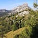 Proprio qui abbiamo visto i camosci