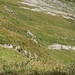  ... ha avuto timore di noi!
