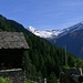 Baita alpina