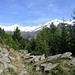 Sentiero degli Alpi