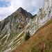 Das ist ein angenehmer Wiesenhang, auf dem Schafe weiden, nichts Wildes. Die Augen rechts, spähte ich nach einer Möglichkeit, in den Sattel zwischen Combiflue und Schopfenspitz hinüberzukommen. Auch der Weiterweg ist von hier aus gut einzusehen.