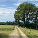 Auf einem Seitenweglein gegen Lignières.<br /><br /><br />