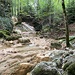 In der Combe du Pilouvi.<br /><br /><br />