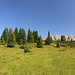 wieder bergan