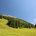 der Pfad führt ein Stück rechts der Skipiste bergan