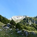 Bei diesem Anblick, muss ich vom ursprünglichen Plan abweichen
