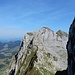 Silberplattenköpfe. Ein weiteres Projekt. Jemand Interesse?