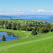 Blick über den Golfplatz Zürichsee zum oberen Zürisee.