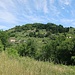 Der sanfte Monte Castellacchio, von dieser Seite betrachtet nur ein besserer Hügel.