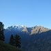 Blick bei Spon
