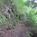 anregende Wald-Fels-Passage zum P. 910