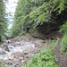 nahe dem Fallbach, oberhalb des Wasserfalles, auf schönem Weg - mit Wegverstärkungen, welche Spuren der Wassereinwirkungen zeigen