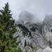 Nur einmal kurz wird der Blick auf die ganze Westwand des Säuling frei