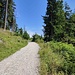 salendo verso Festung Schlosskopf