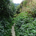 Lößhohlweg
