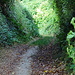 Lößhohlweg